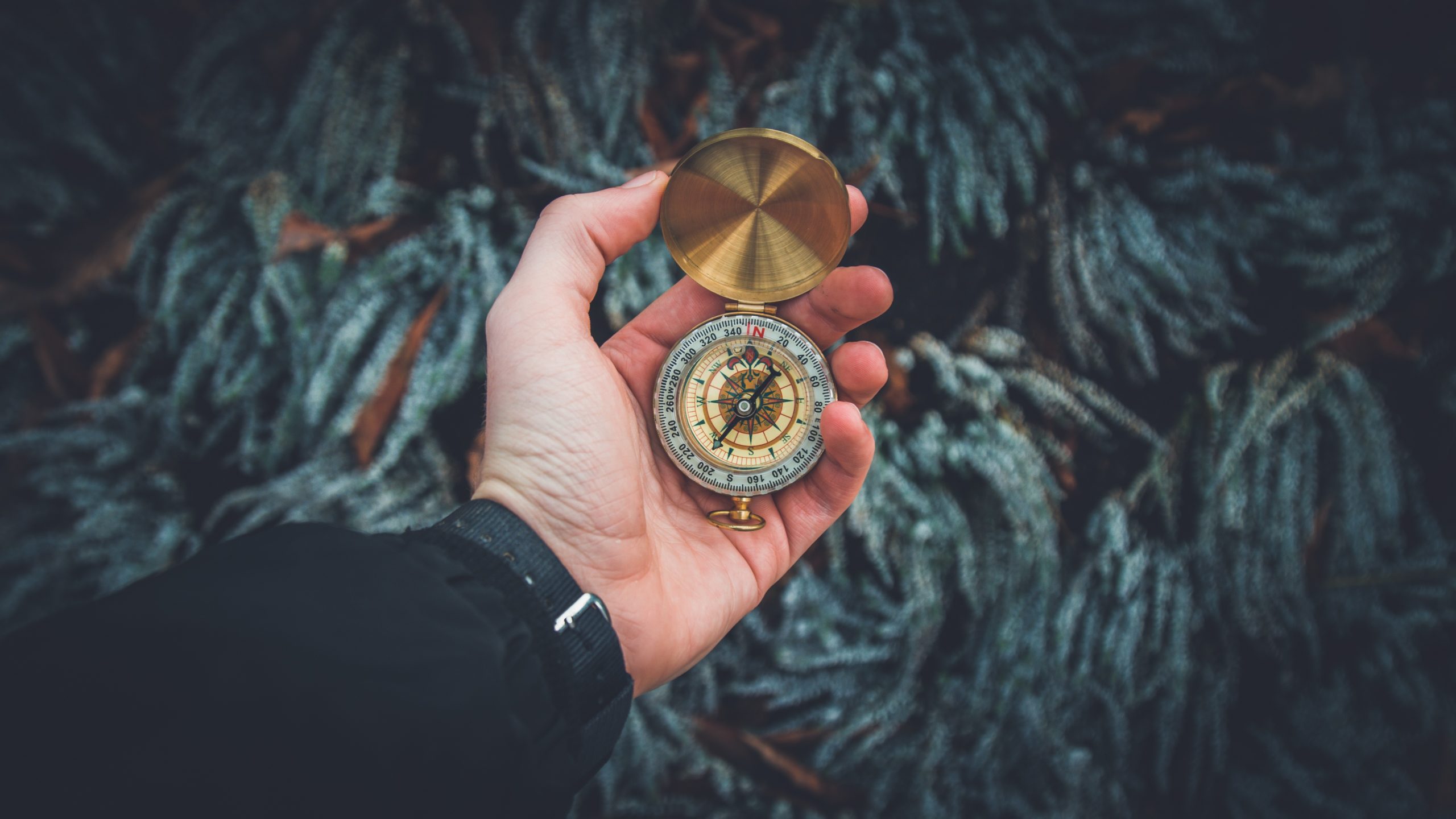 valentin-antonucci-LTgTfES5hBI-unsplash
